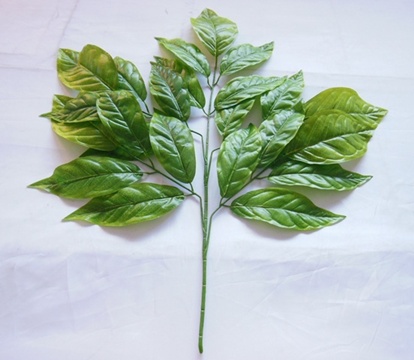 12branch X 25 Leaves Artificial Mango Leaves We F231